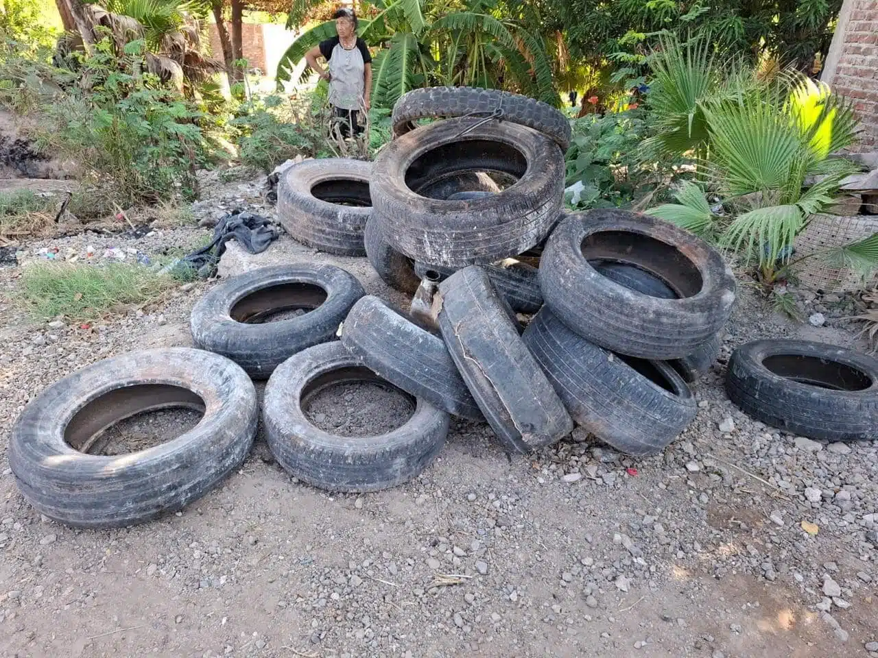 Llantas viejas que acumulaban agua en el municipio.