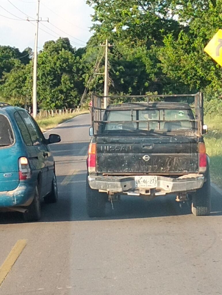 Muere adulto mayor por piquetes de abeja en El Walamo, al sur de Mazatlán