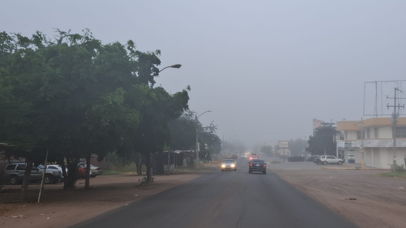 Calle con carros y poca visibilidad por la niebla