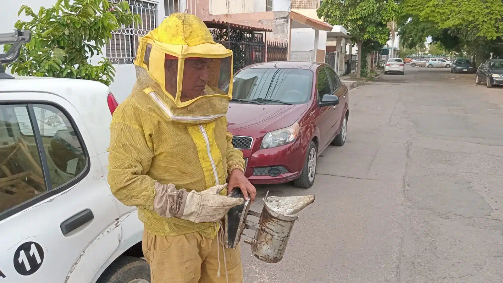 PC recibe hasta 10 reportes diarios de enjambres de abejas en Ahome