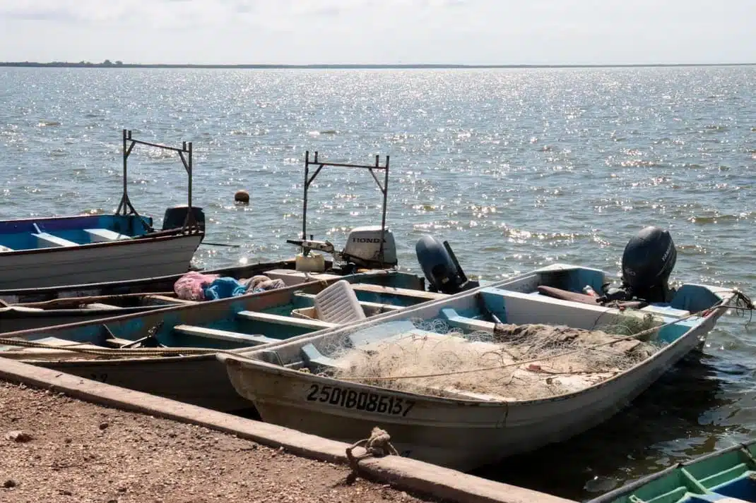 Pangas de pescadores en una bahía del norte de Sinaloa