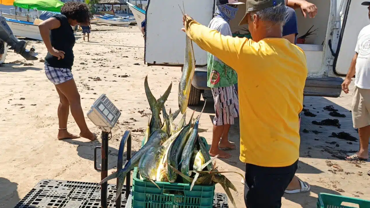 pescadores de Mazatlán tras captura