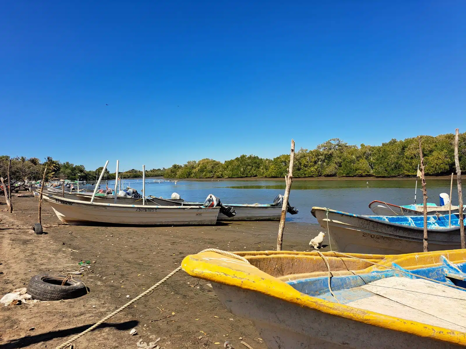 embarcaciones de pesca