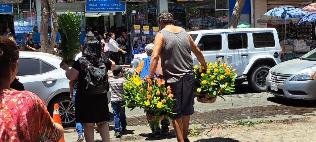 Proveedores del sur del país no viajarán a Sinaloa a surtir flor para el Día de Muertos