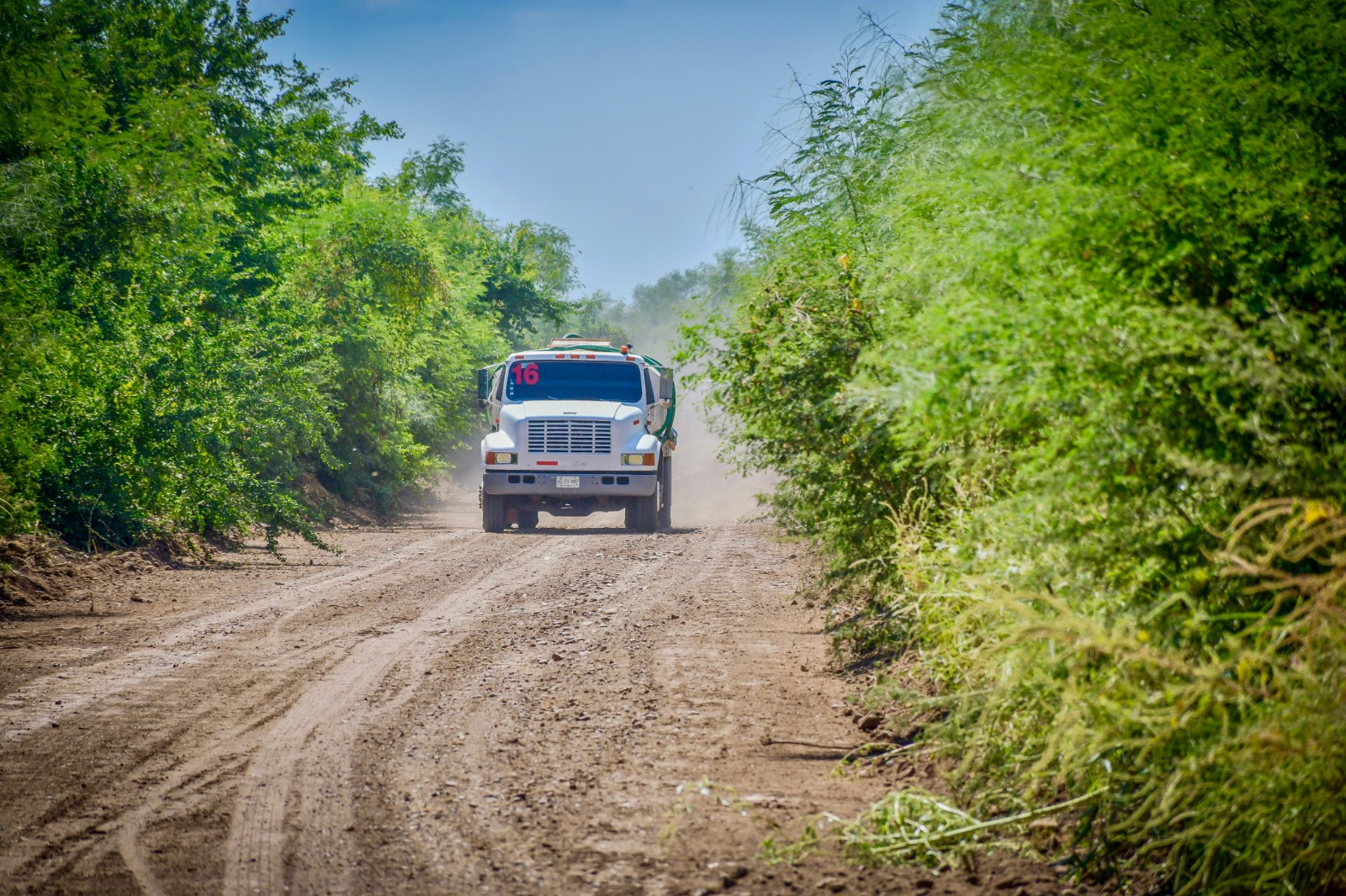 Maquinaria operando para la rehabilitación de caminos rurales al norte de Salvador Alvarado.