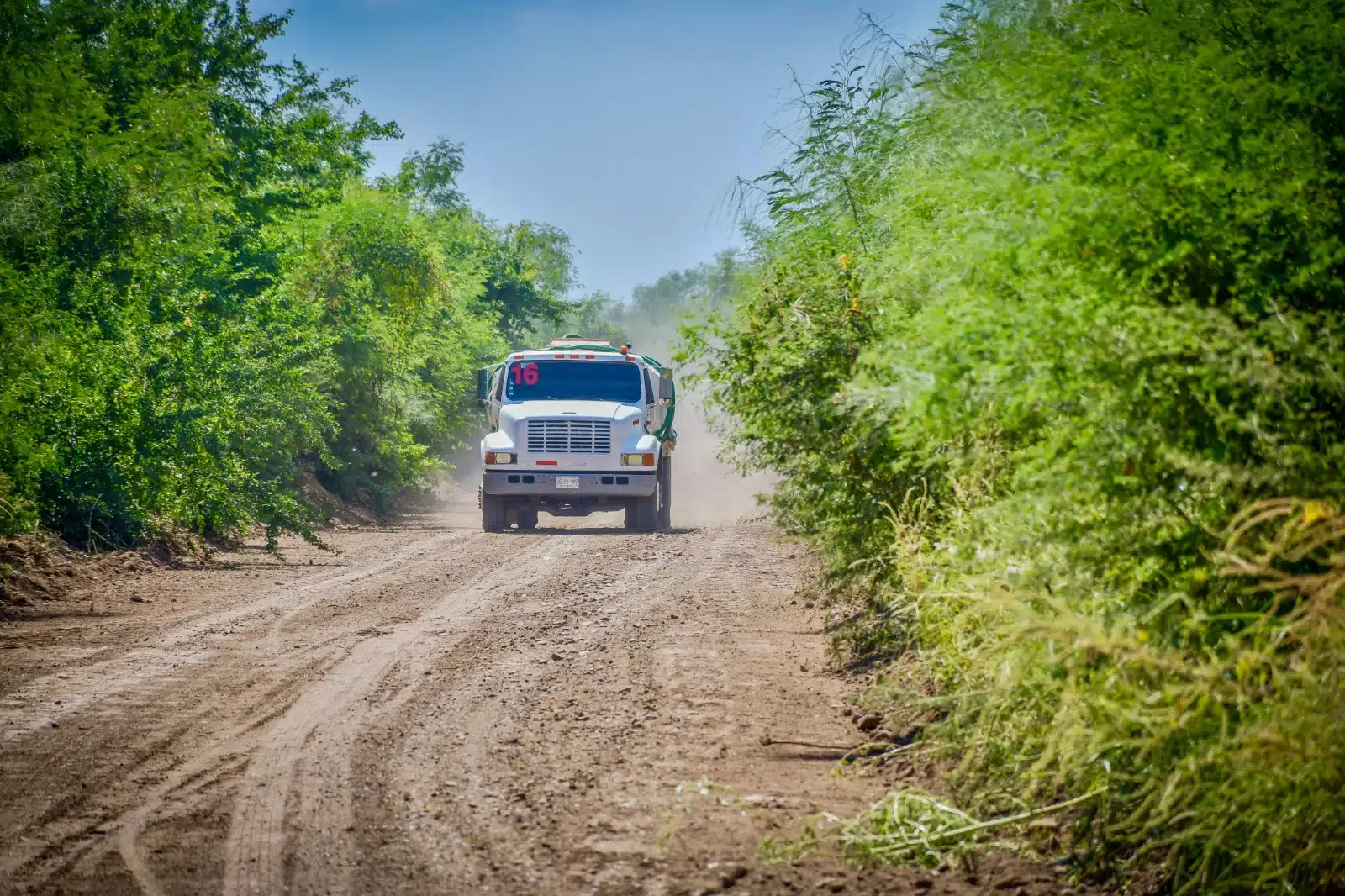 Maquinaria operando para la rehabilitación de caminos rurales al norte de Salvador Alvarado.