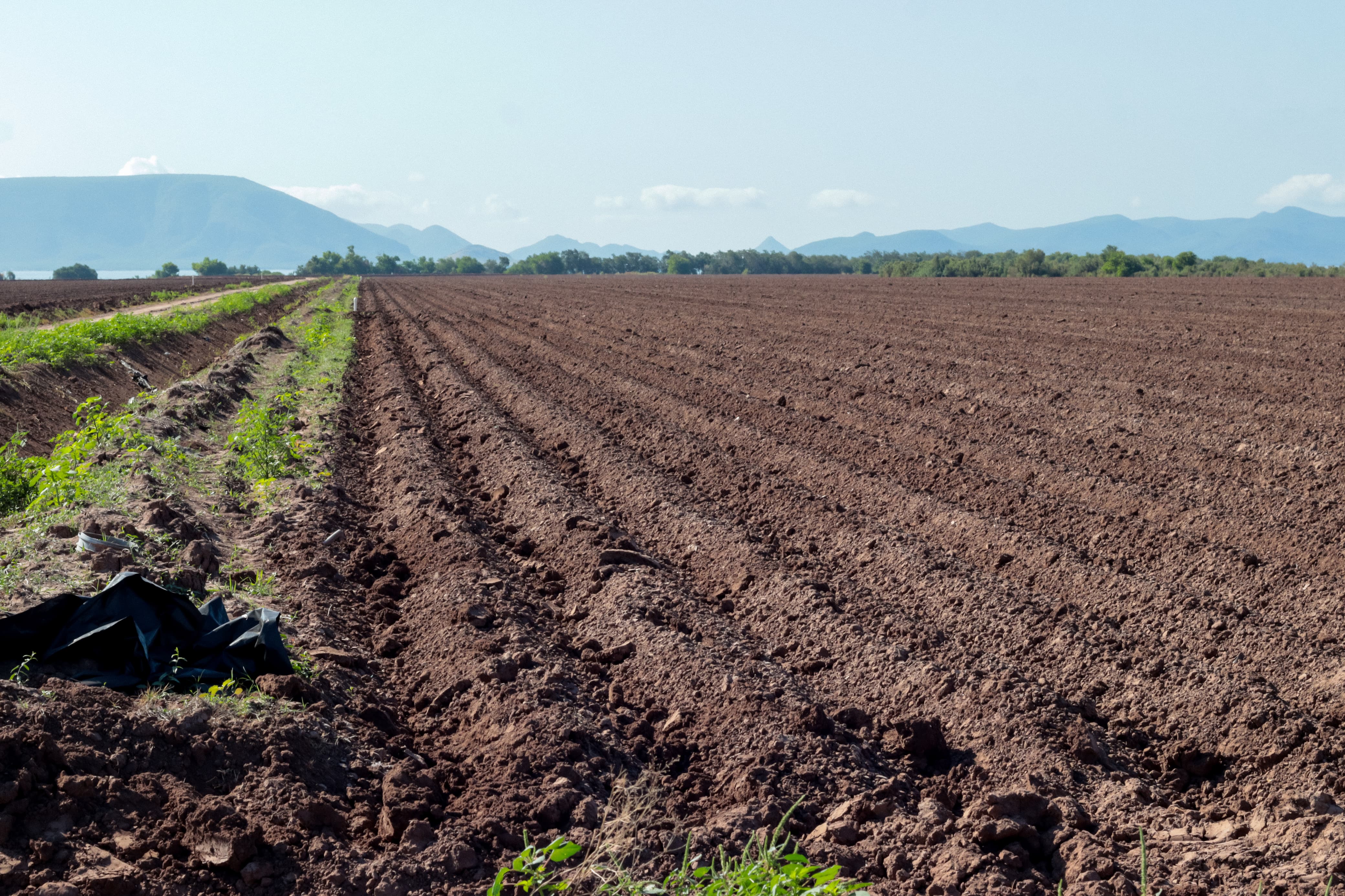 Será benéfico para campo Sinaloa se forme y caiga tormenta Cristi