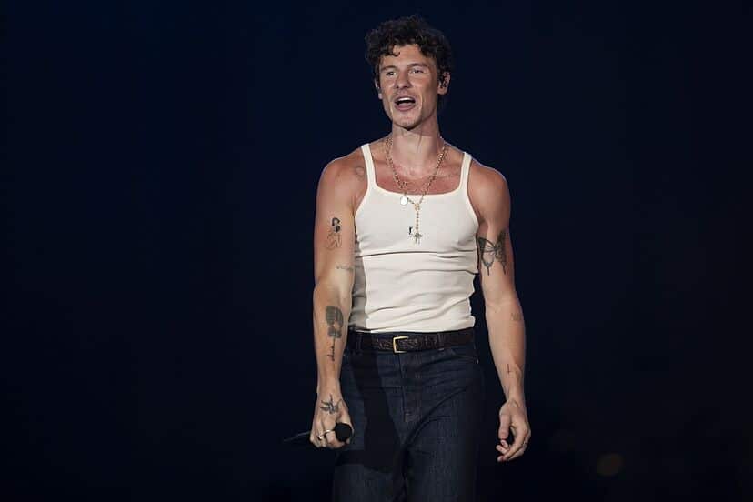 Shawn Mendes habla sobre su sexualidad en un conmovedor concierto