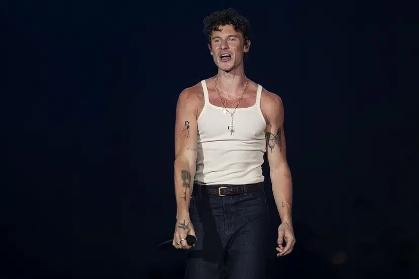 Shawn Mendes habla sobre su sexualidad en un conmovedor concierto