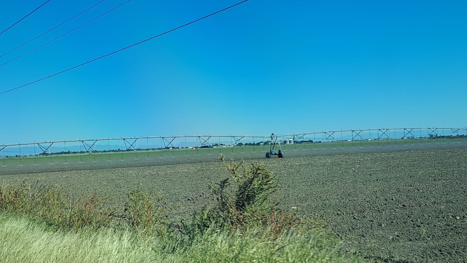 Suman 3 mil 659 hectáreas sembradas de granos y hortalizas en Navolato y Culiacán