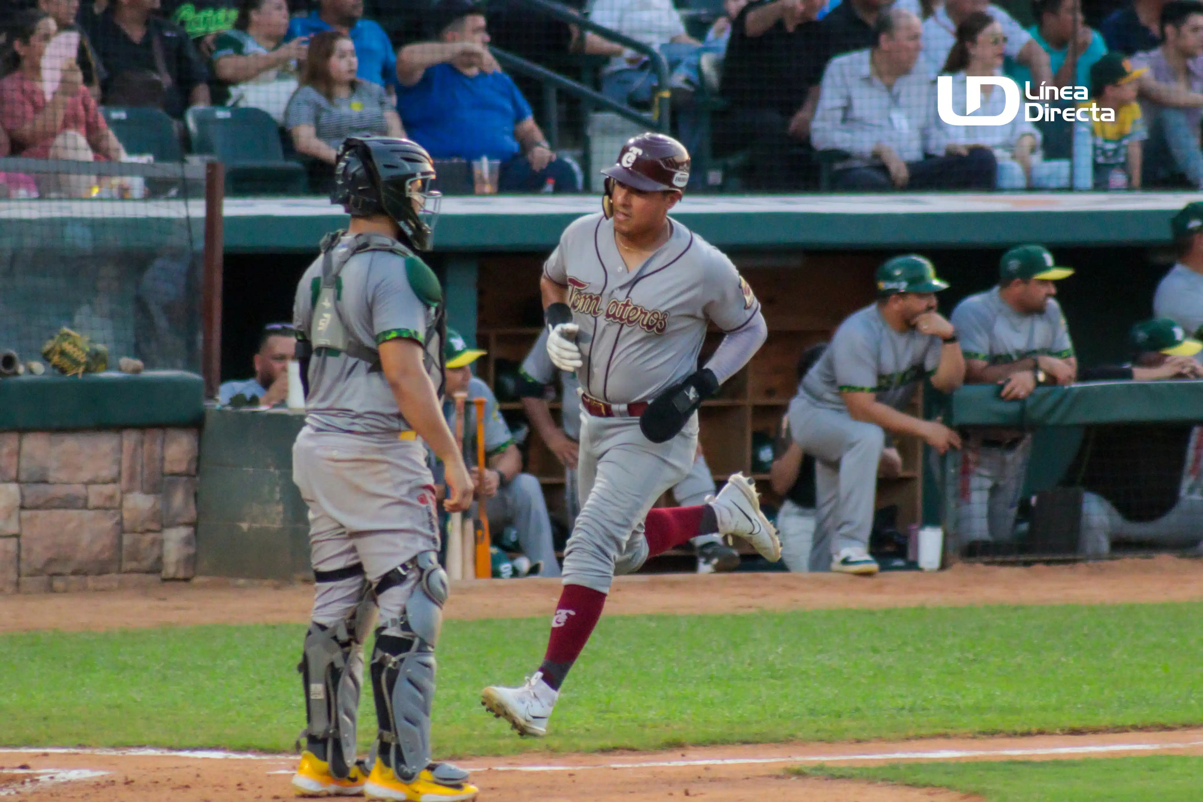 TOMATEROS VS CAÑEROS