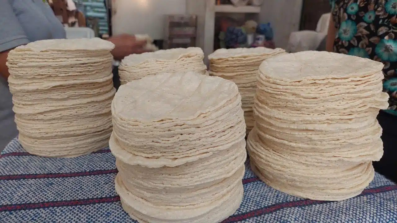 Tortillas de maíz