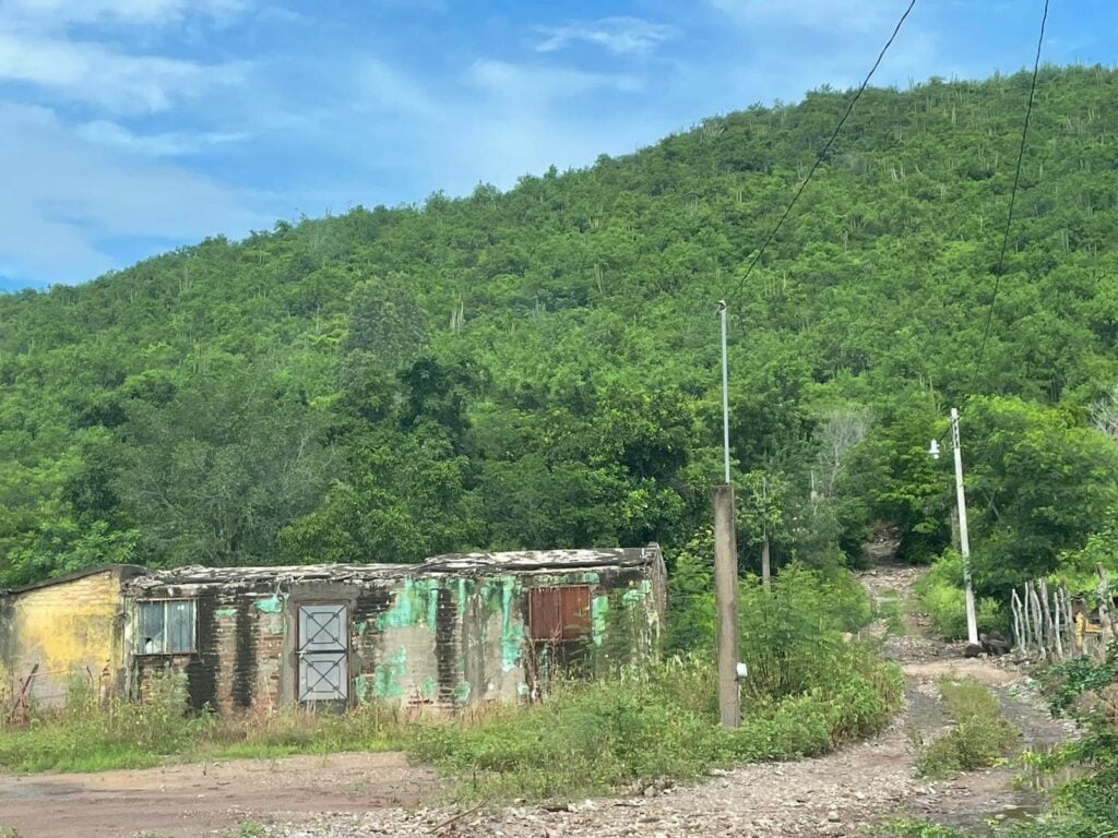 Vecinos de Buenavista, El Fuerte, lanzan llamado de SOS