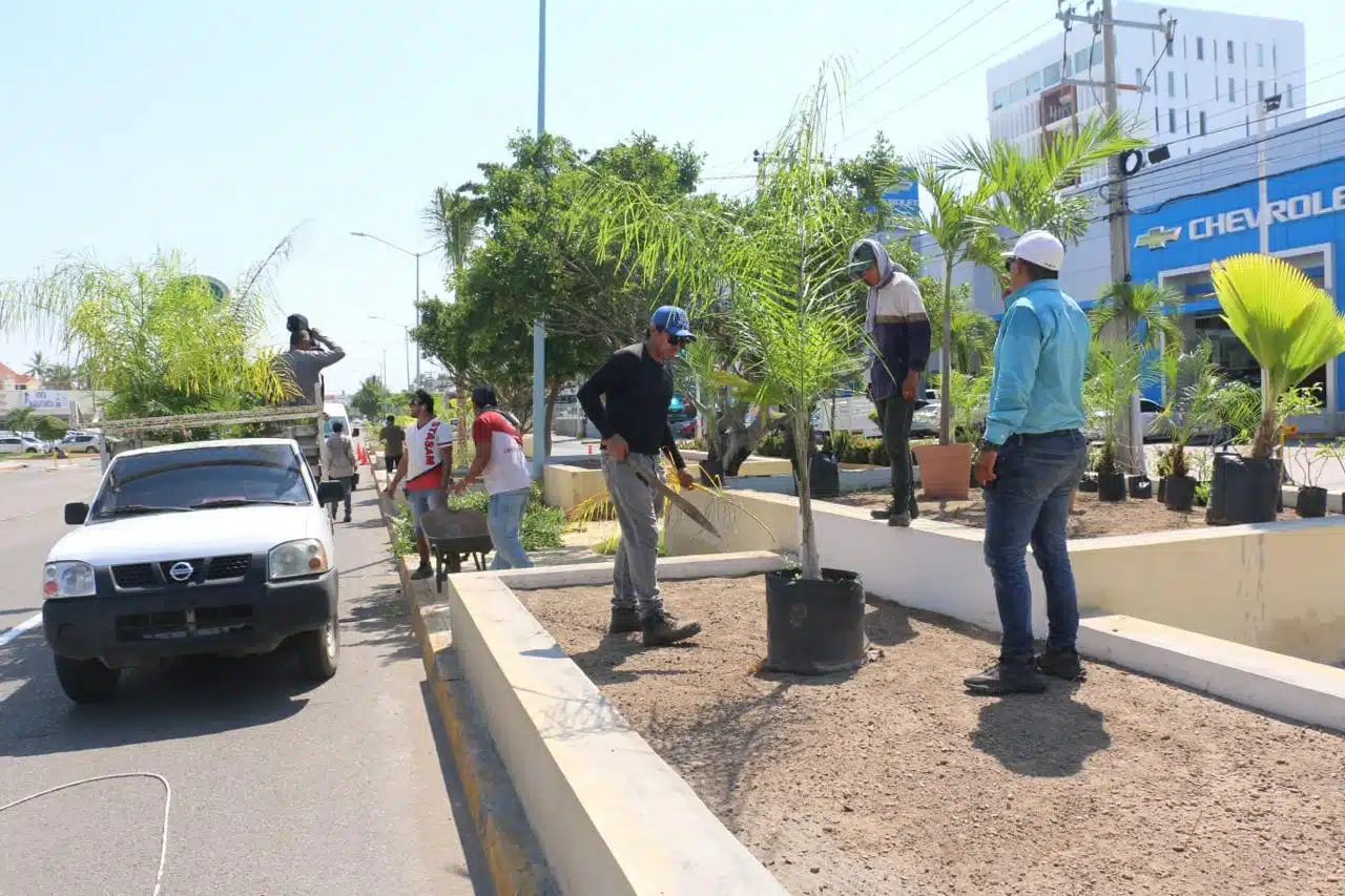 Personal del municipio realiza trabajos de limpieza, y acciones preventivas para mitigar los efectos de las lluvias y proyectos de mejoras urbanas