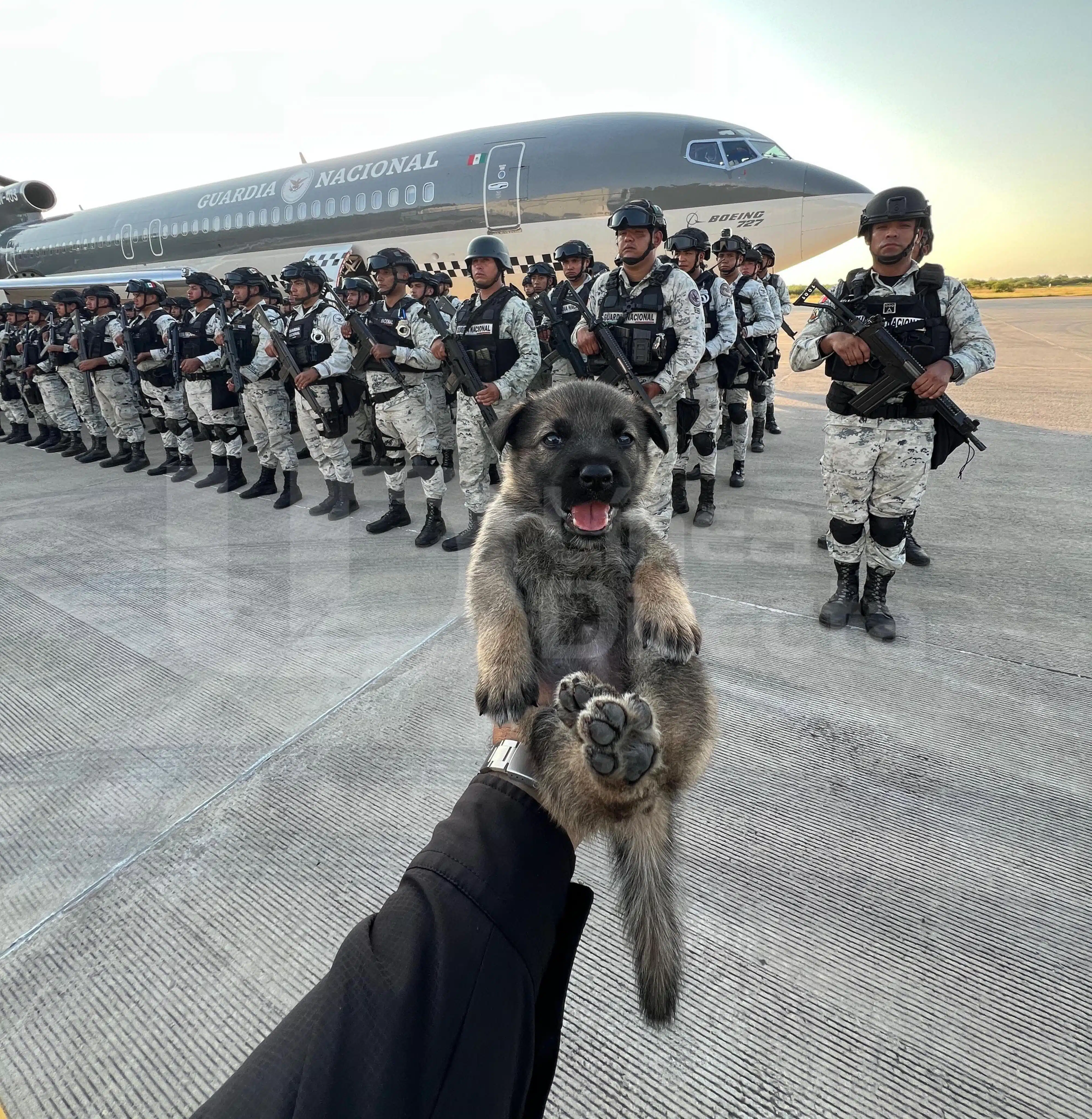 Elementos de la Guardia Nacional con un cachorro