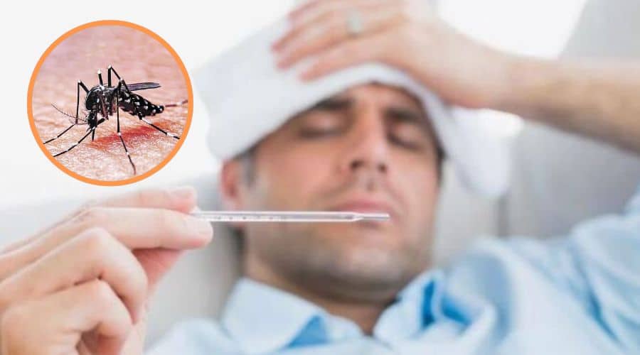 Van 392 casos y tres defunciones confirmadas de dengue en el municipio de Ahome