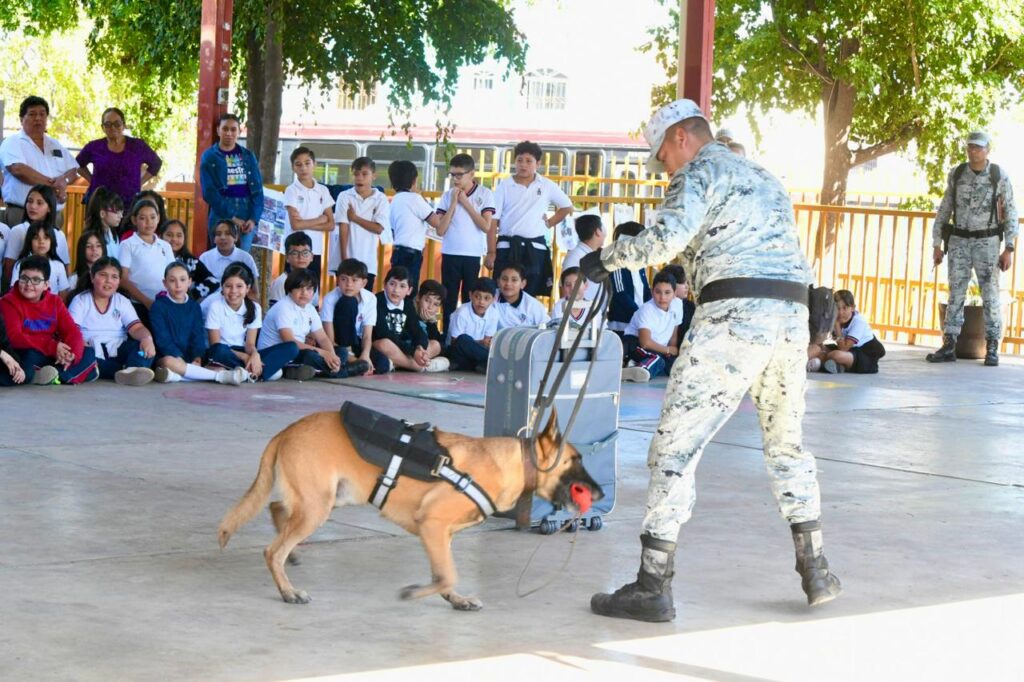 Muestra de adiestramiento canino de la Guardia Nacional