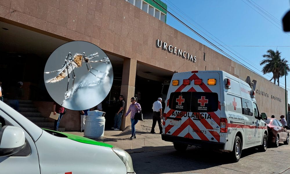 Alerta dengue tipo 3 y 4, incrementa severidad y muertes jóvenes