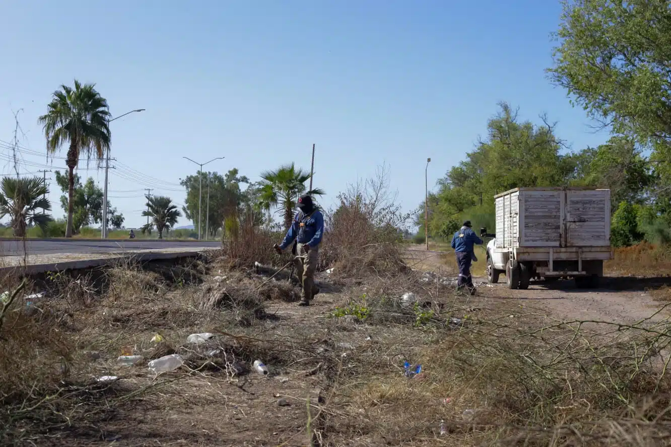 Barren, podan, limpian y retiran mucha basura dan “zarpazo de tigre” al Rosales en Los Mochis