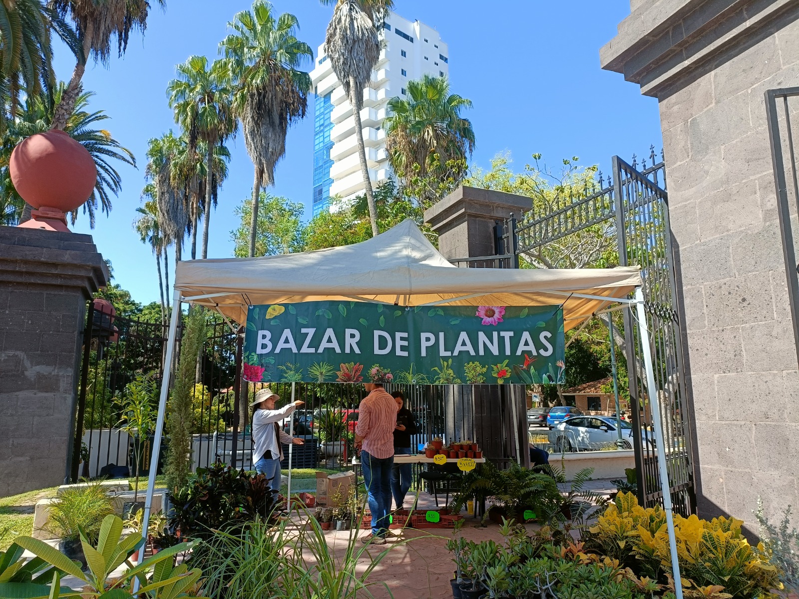 El ardín Botánico Benjamin Francis Johnston exponen diferentes plantas para su venta hacia el público