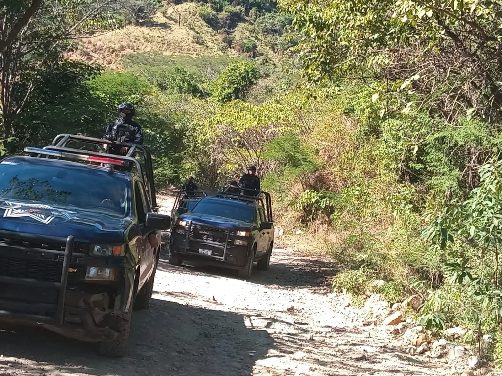 Elementos de la PEP en sierra del Rosario