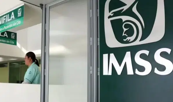 Paso a paso para descargar el registro actualizado del IMSS