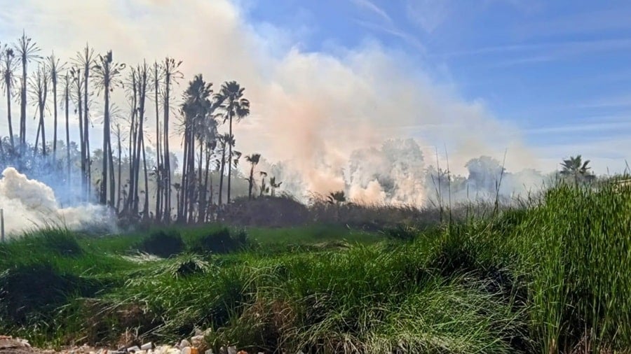 INCENDIO EL POCHOTAL EN EL FUERTE