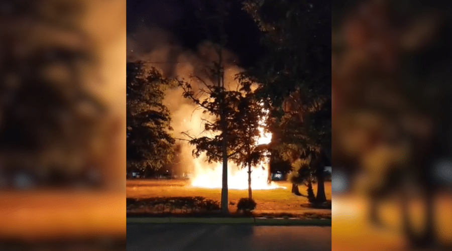 Se quema la palma de un parque de Los Mochis