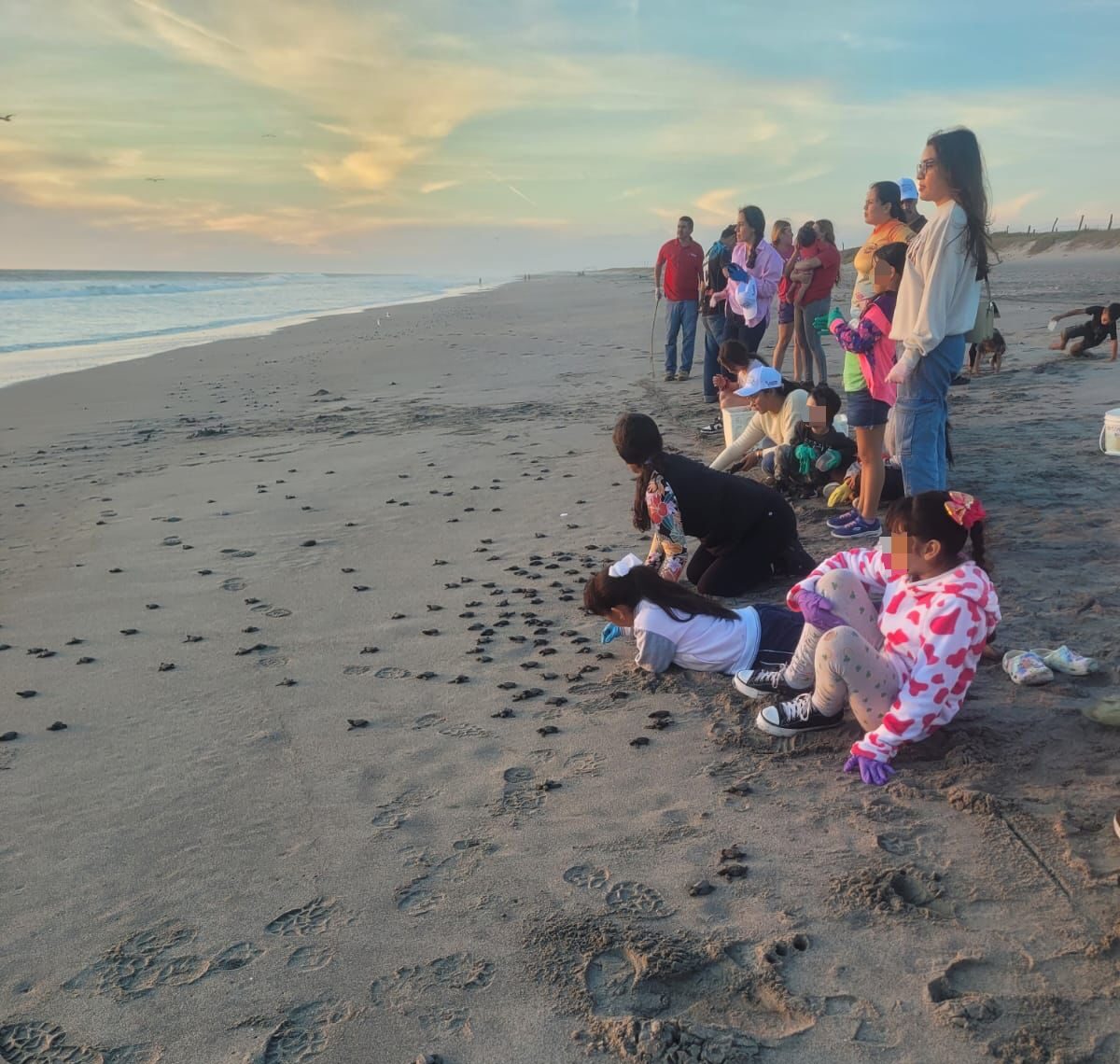 Niños y adultos participando en la liberación de pequeñas tortugas golfinas en playa Ceuta, Elota.