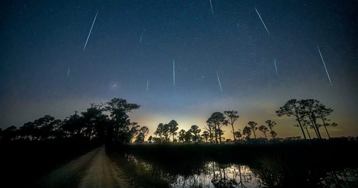 Lluvia de Estrellas Táuridas 2024 ¿Cuándo disfrutar de este fenómeno