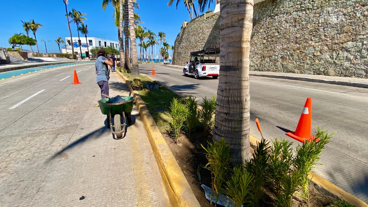 MARATÓN MAZATLÁN (3)