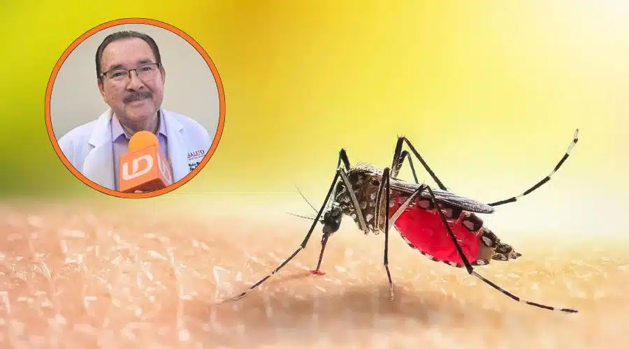 Mosquito del dengue (fondo), Víctor Manuel Lim (circulo)