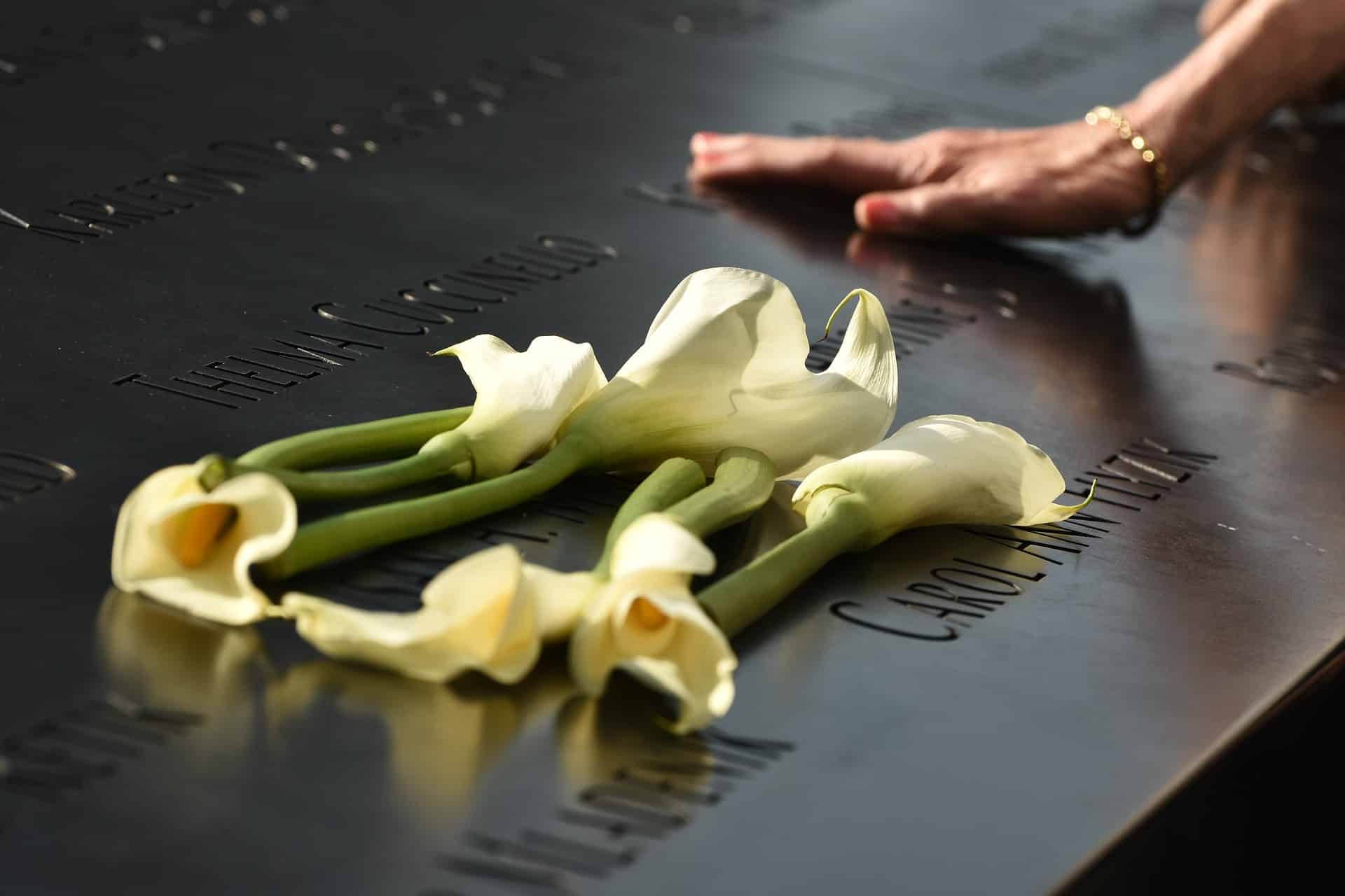 Una mano colocada sobre un memorial, al lado de unas flores blancas.