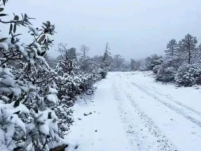 Cae nieve en Chihuahua y provoca bajas temperaturas en Sinaloa