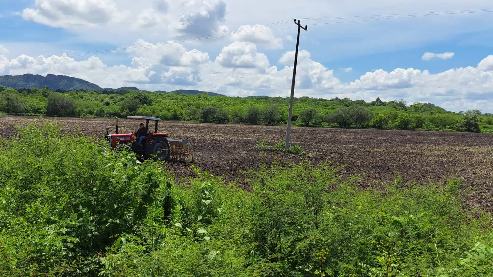 Noviembre es la fecha límite para recoger fertilizante gratuito que da Segalmex