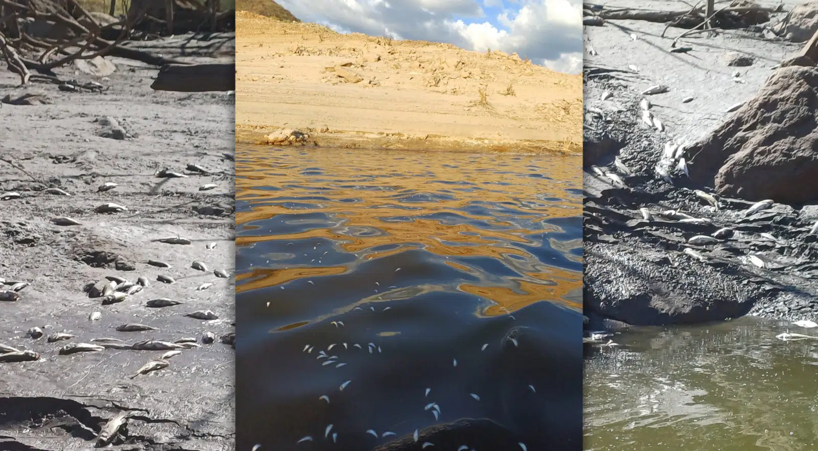 Pescadores de la Huites amenazan con tomar las cortinas si siguen sacando agua a la presa