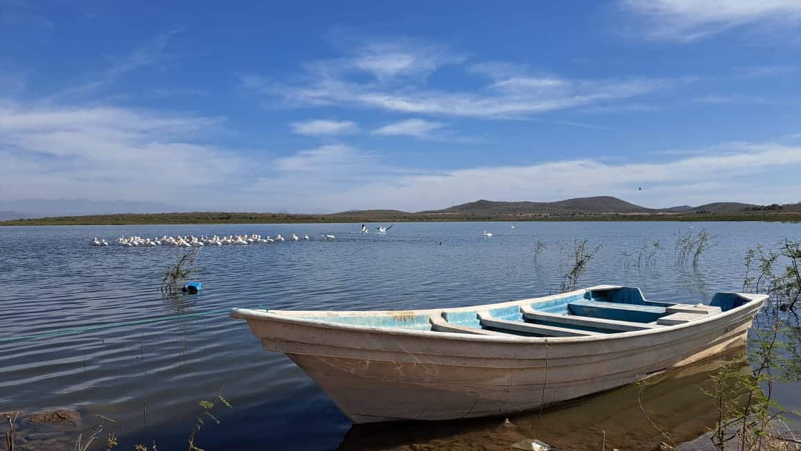 Pescadores de la presa Eustaquio Buelna posponen inicio temporada