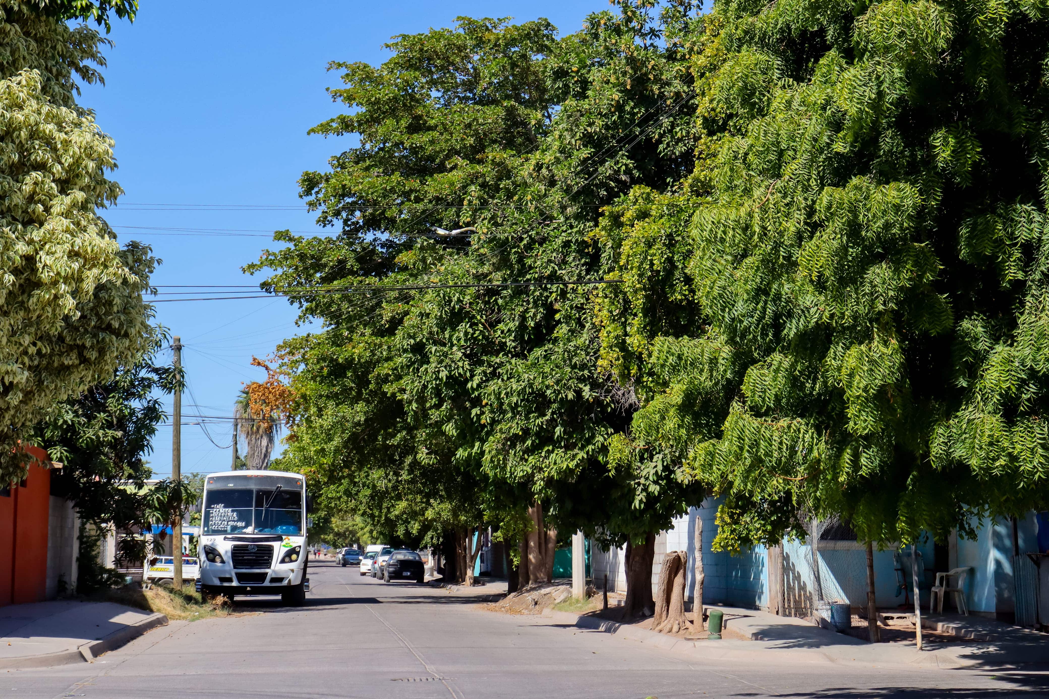 Piden más patrullajes en zona de Los Mochis por música