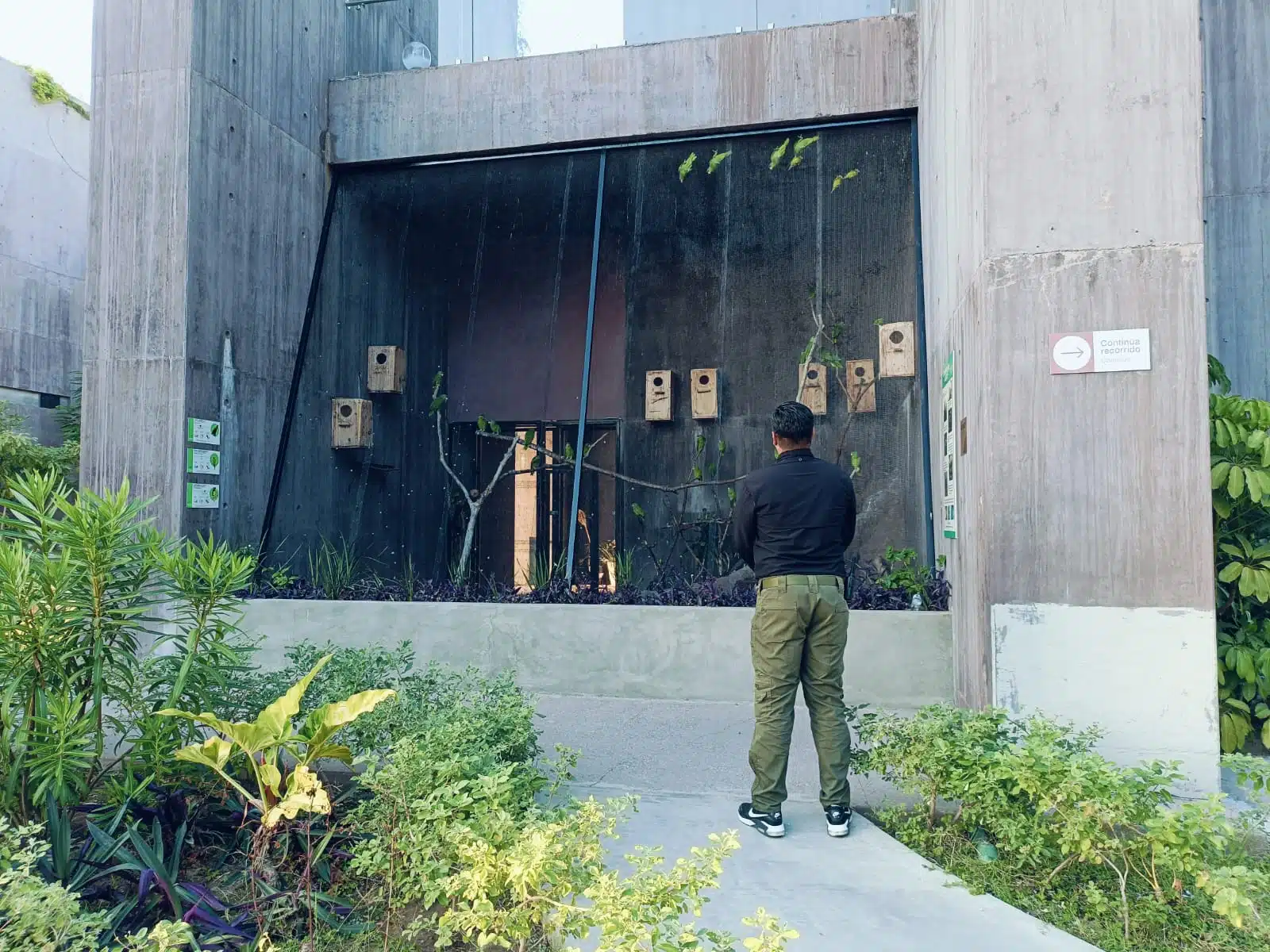 Refugio en Acuario de Mazatlán para aves protegidas.