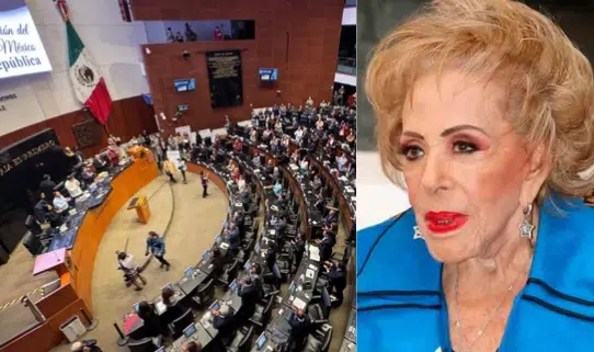 Senado guarda un minuto de silencio en memoria de la actriz Silvia Pinal