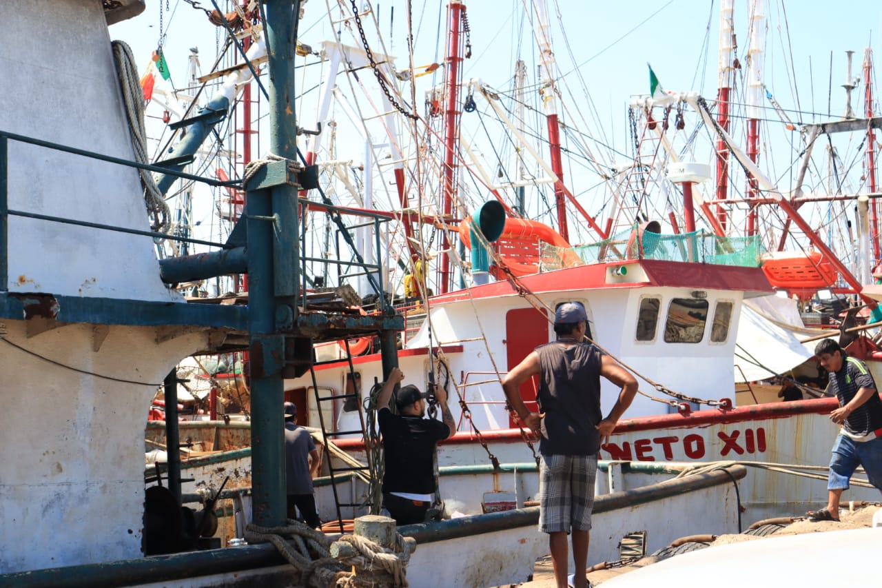 Sin incidentes captura camarón altamar, capitanía Mazatlán