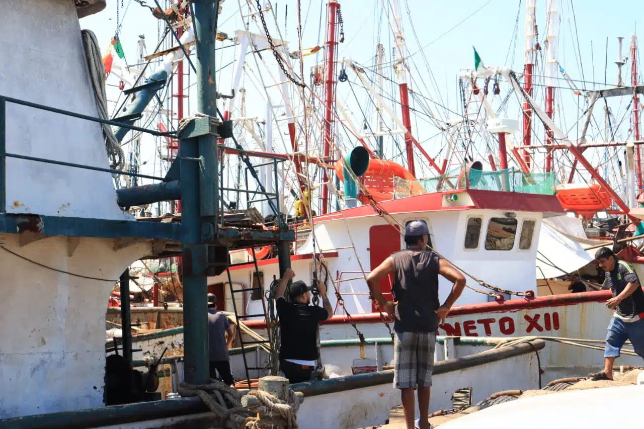 Sin incidentes captura camarón altamar, capitanía Mazatlán