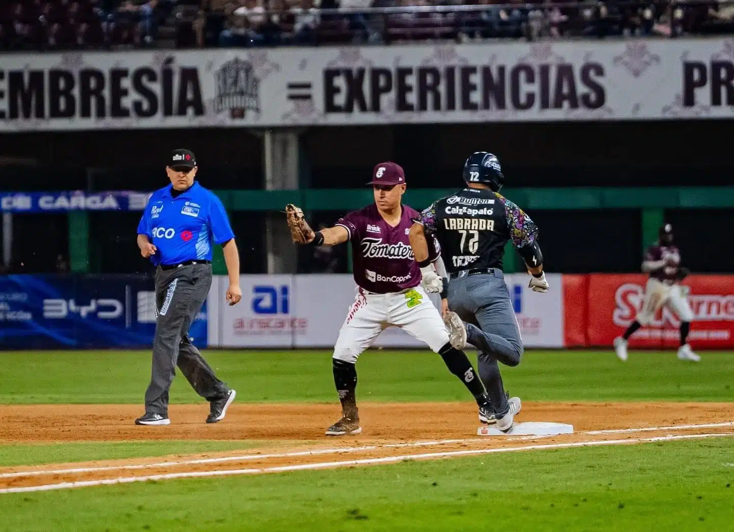 Tomateros de Culiacán capturó la mayor cantidad de puntos en la primera vuelta de la LMP