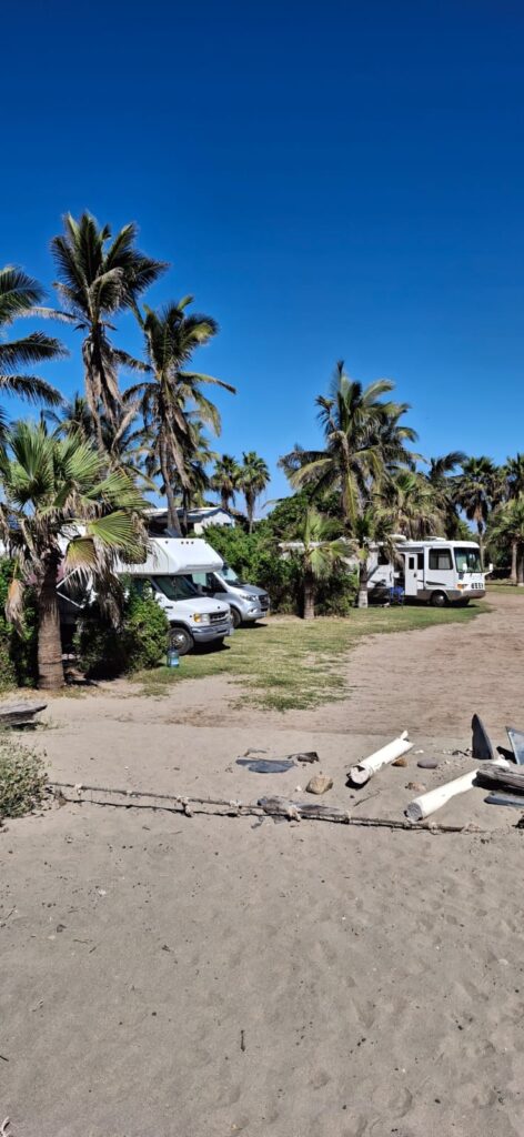 Turistas extranjeros ignoran el “warning” y ya están en Sinaloa