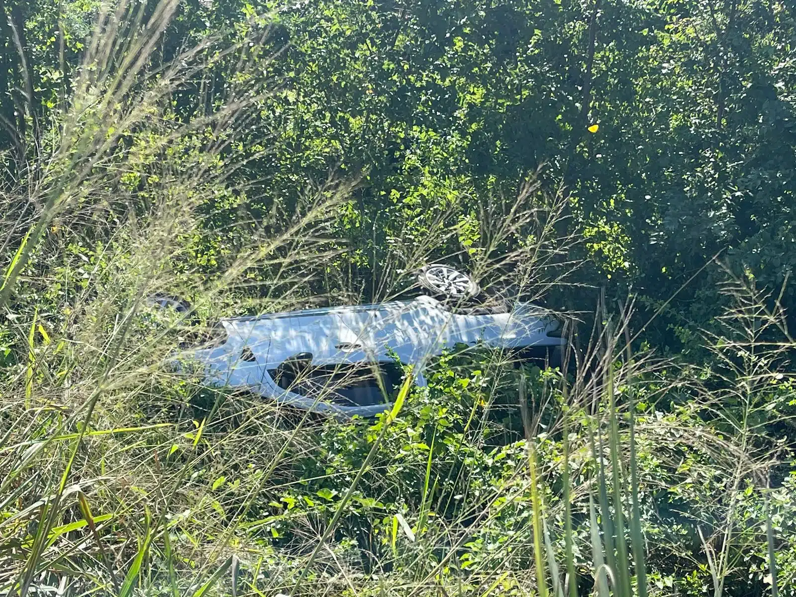 Una camioneta termina volcada fuera de la carretera (1)