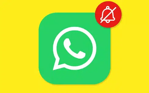 Trucos de WhatsApp: ¿Cómo activar el modo 