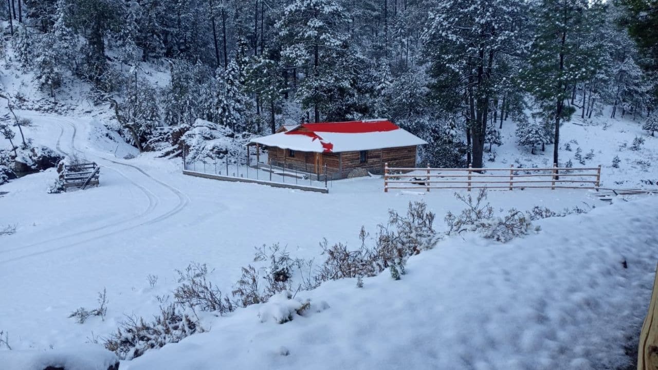 Zonas Nevadas de Sinaloa en la sierra