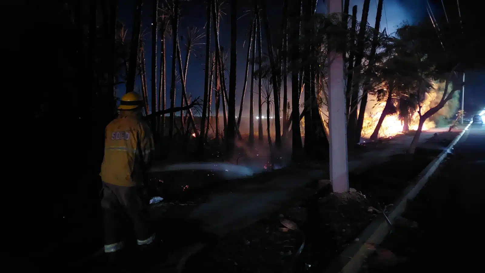 bomberos incendio palmas