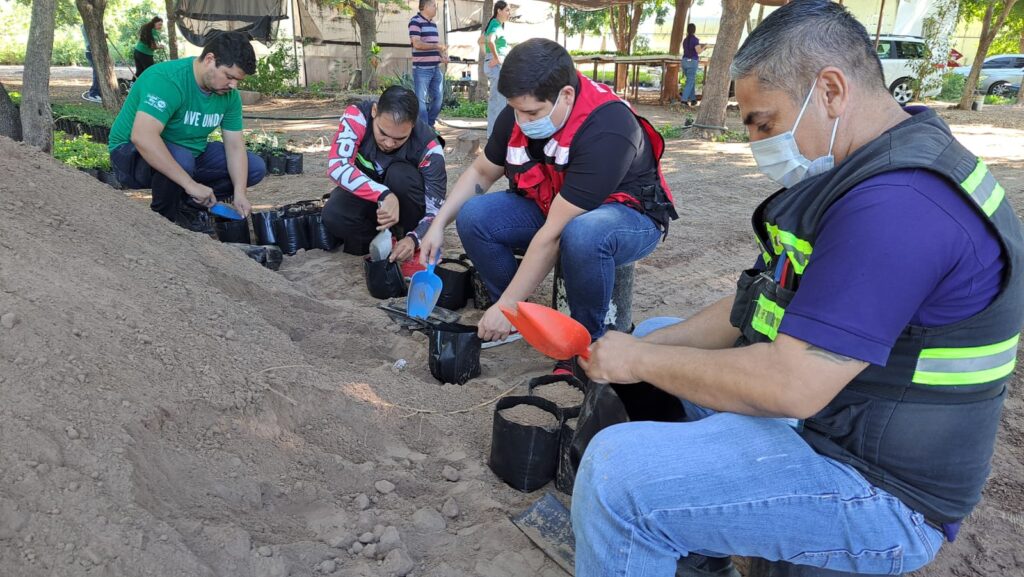 jornada de embolsado y producción de árboles