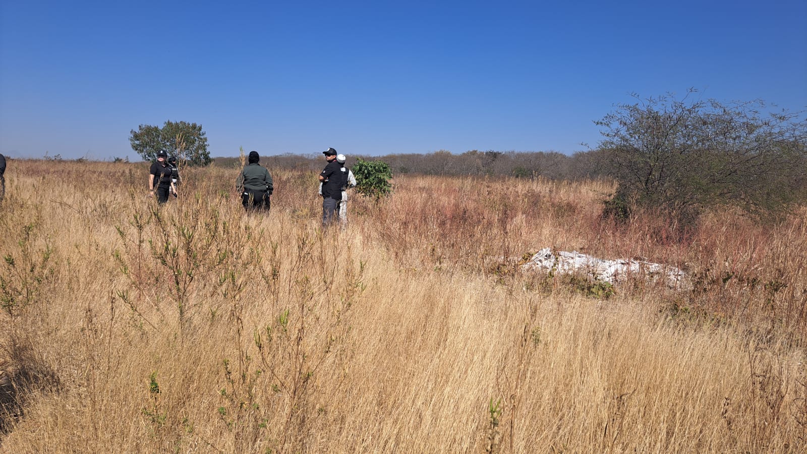 Terreno enmontado donde localizaron restos humanos